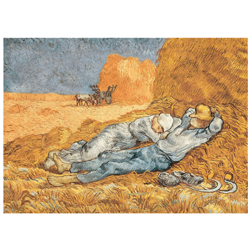 Jigsaw Puzzles 1000 Pieces for Adults and Teens with Splendid Images or Classical Paintings